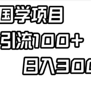 小红书国学项目实操攻略 轻松引流过百单日收益可达300+-雨叶虚拟资源网