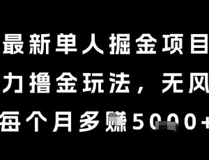 当前红利期无风控单人掘金项目详解 正规玩法每月可额外增收5k+-雨叶虚拟资源网