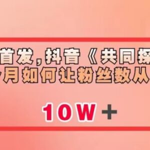 抖音《共同探讨》账号2个月从0涨粉至10万玩法及变现方案详解-雨叶虚拟资源网