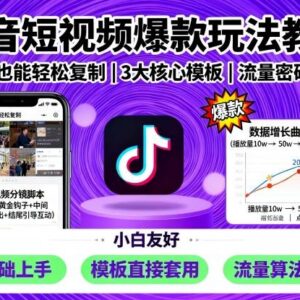 抖音各垂类短视频爆款玩法教程 新手小白可直接复制实操-雨叶虚拟资源网