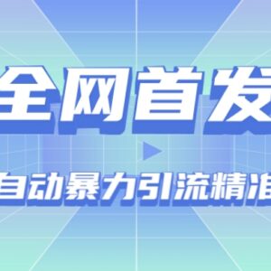抖音全自动精准粉引流技术教程 附配套采集软件及操作脚本-雨叶虚拟资源网