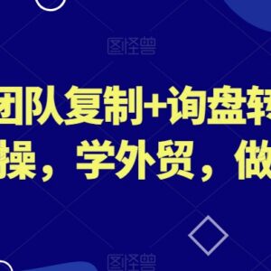 外贸跨境实操课 团队搭建询盘转化展会运营全流程教学-雨叶虚拟资源网