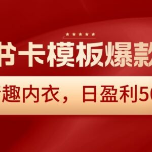 小红书卡模板爆款玩法实操 售卖情趣内衣日盈利500+项目详解-雨叶虚拟资源网