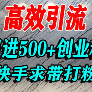 快手引流精准创业粉实操教程 宝妈学生群体日获500+流量技巧-雨叶虚拟资源网