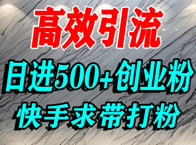 快手引流精准创业粉实操教程 宝妈学生群体日获500+流量技巧