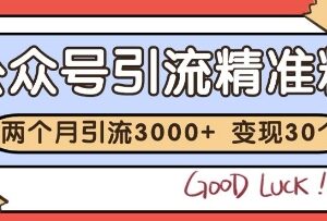 公众号精准粉引流实操玩法 2个月涨粉3000+变现30万经验拆解-雨叶虚拟资源网
