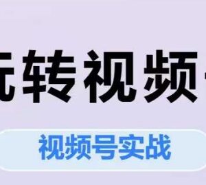 视频号实战系列课程 从定位运营到直播全流程实操教学-雨叶虚拟资源网