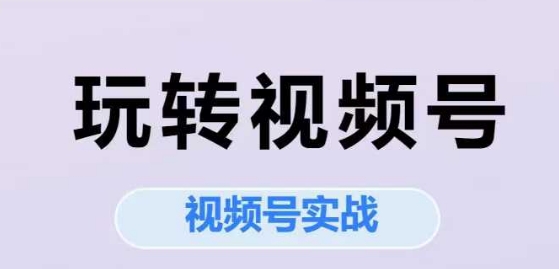 视频号实战系列课程 从定位运营到直播全流程实操教学