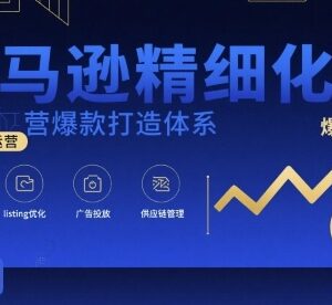 亚马逊精细化运营爆款打造体系课程 含视频课+全套资料文档-雨叶虚拟资源网