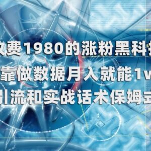 售价1980元涨粉数据包装项目拆解 个人实操可月入超1万-雨叶虚拟资源网