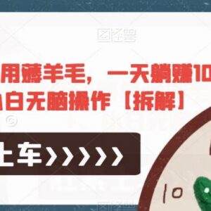 极速版零成本薅羊毛项目拆解 小白操作单日可赚10-50元-雨叶虚拟资源网