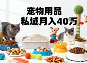 宠物用品私域猫车群运营攻略 精准掘金月变现40万实操玩法-雨叶虚拟资源网