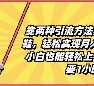 高端潮鞋生意两种引流方法 小白每天1小时可上手月入过万-雨叶虚拟资源网