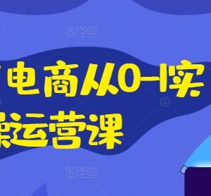 小红书电商从0到1全流程实操课 含IP私域直播运营教学-雨叶虚拟资源网