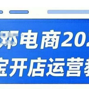 2025淘宝开店运营教程 直通车万相无界实操推广培训课程-雨叶虚拟资源网