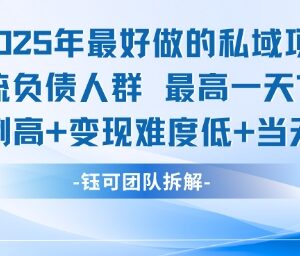 2025低难度私域项目:引流负债人群 单日最高变现可达7400元-雨叶虚拟资源网