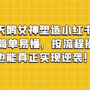 小红书女神塑造账号实操玩法 普通人可落地月入5万副业指南-雨叶虚拟资源网