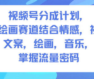 视频号分成计划人生感悟手绘画赛道 全流程实操运营玩法指南-雨叶虚拟资源网