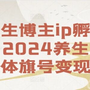 2024养生博主IP孵化教程 养生自媒体从起号到运营变现全指南-雨叶虚拟资源网