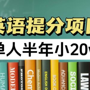 2024正规英语提分实操项目 单人运营半年可获利近20万元-雨叶虚拟资源网
