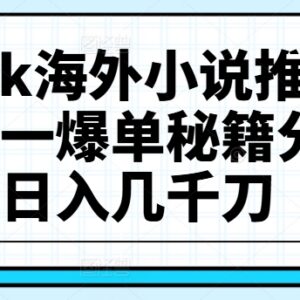 TikTok海外小说推文项目玩法详解 爆单盈利实操经验分享-雨叶虚拟资源网