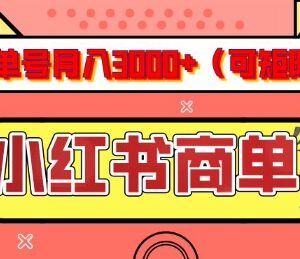 小红书商单分成计划实操指南 单号月入3K可矩阵放大玩法详解-雨叶虚拟资源网