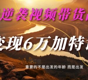 30天视频带货高手特训营 单月变现6万+全流程实操教程-雨叶虚拟资源网