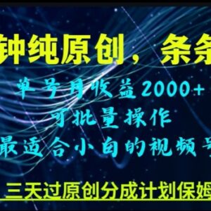 零基础制作视频号纯原创内容 低门槛起号变现实操教程-雨叶虚拟资源网