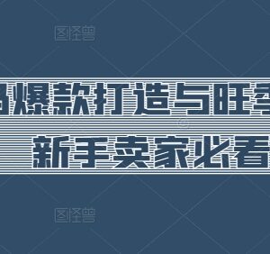 跨境沃尔玛新手卖家爆款打造指南 旺季运营实操技巧全攻略-雨叶虚拟资源网