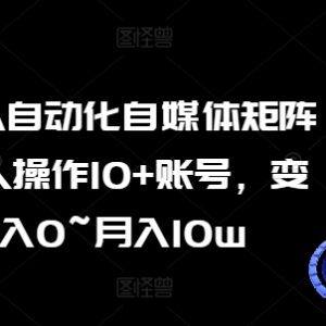 AI+RPA自动化自媒体矩阵课程 零基础单人运营多账号变现方法-雨叶虚拟资源网