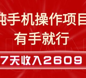 无需电脑零基础可上手 纯手机操作副业教程7天赚2609+-雨叶虚拟资源网