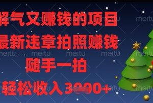 既解气又赚钱的违章拍照项目 随手拍交通违规即可获额外收益-雨叶虚拟资源网