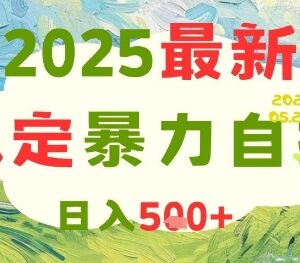 2025全自动游戏试玩赚钱项目详解 可矩阵操作单日收益可达500元-雨叶虚拟资源网