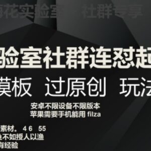 梅花实验室社群连怼起号 卡模板过原创玩法详细揭秘-雨叶虚拟资源网