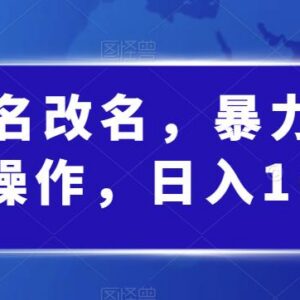 婴儿起名改名低门槛副业实操教程 新手轻松实现日均千元收益-雨叶虚拟资源网