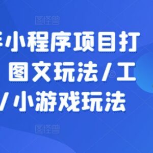 抖音快手小程序项目实操课程 图文工具小游戏全玩法教学-雨叶虚拟资源网