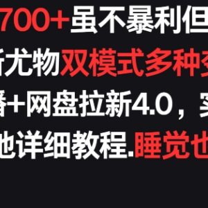 快手无人挂播搭配网盘拉新4.0 稳定日入700+落地实操教程-雨叶虚拟资源网