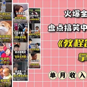 抖音搞笑盘点中视频项目玩法详解 附全套素材工具礼包-雨叶虚拟资源网