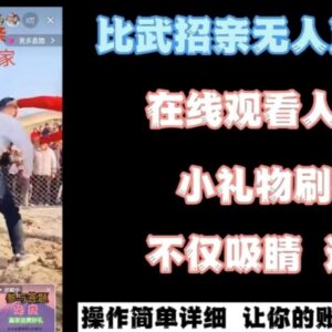 热门无人直播比武招亲玩法拆解 低门槛高收益实操项目指南-雨叶虚拟资源网