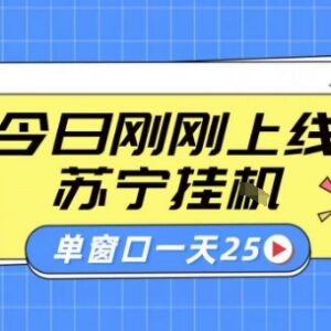 苏宁全自动采集挂机项目实操教程 稳定可批量单窗口收益30+-雨叶虚拟资源网