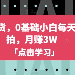 0基础新手小红书低门槛带货玩法 普通人可落地赚钱实操指南-雨叶虚拟资源网
