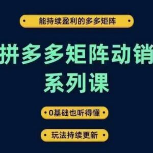 拼多多矩阵动销实战系统课 0基础可学 覆盖运营推广全流程盈利玩法-雨叶虚拟资源网