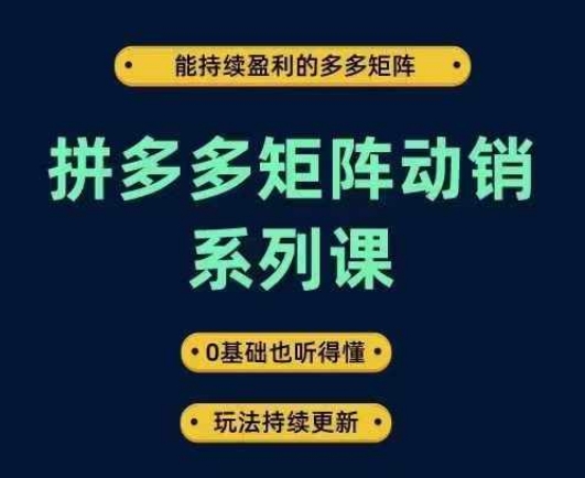 拼多多矩阵动销实战系统课 0基础可学 覆盖运营推广全流程盈利玩法