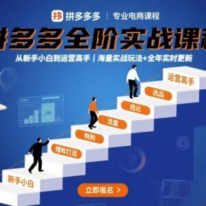 2025年10月更新拼多多全阶实战课 新手到运营高手进阶教程-雨叶虚拟资源网