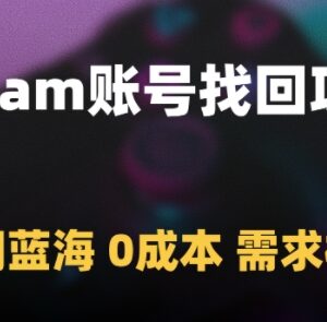Steam账号找回副业项目操作思路 零成本冷门蓝海市场需求极大-雨叶虚拟资源网