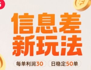 小红书信息差新玩法详解 双账号操作单天稳定50单每单利润30-雨叶虚拟资源网