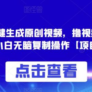 零投入AI一键生成原创视频 视频号赚收益小白操作项目拆解-雨叶虚拟资源网
