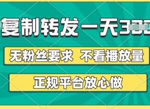 正规种草视频代发项目 无粉丝播放量要求 随时随地赚收益-雨叶虚拟资源网