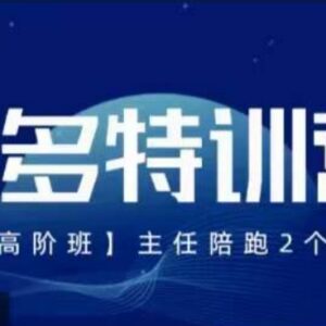 2023纪主任多多特训营高阶班 拼多多最新运营玩法实操教程-雨叶虚拟资源网