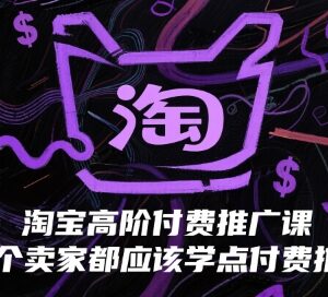 淘宝高阶付费推广实操课程 助力卖家提升投产撬动免费流量-雨叶虚拟资源网